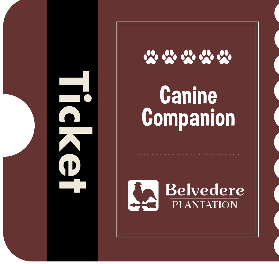 Canine Companion Entry Ticket 2025