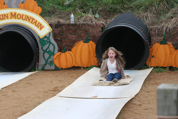 Pumpkin Mountain