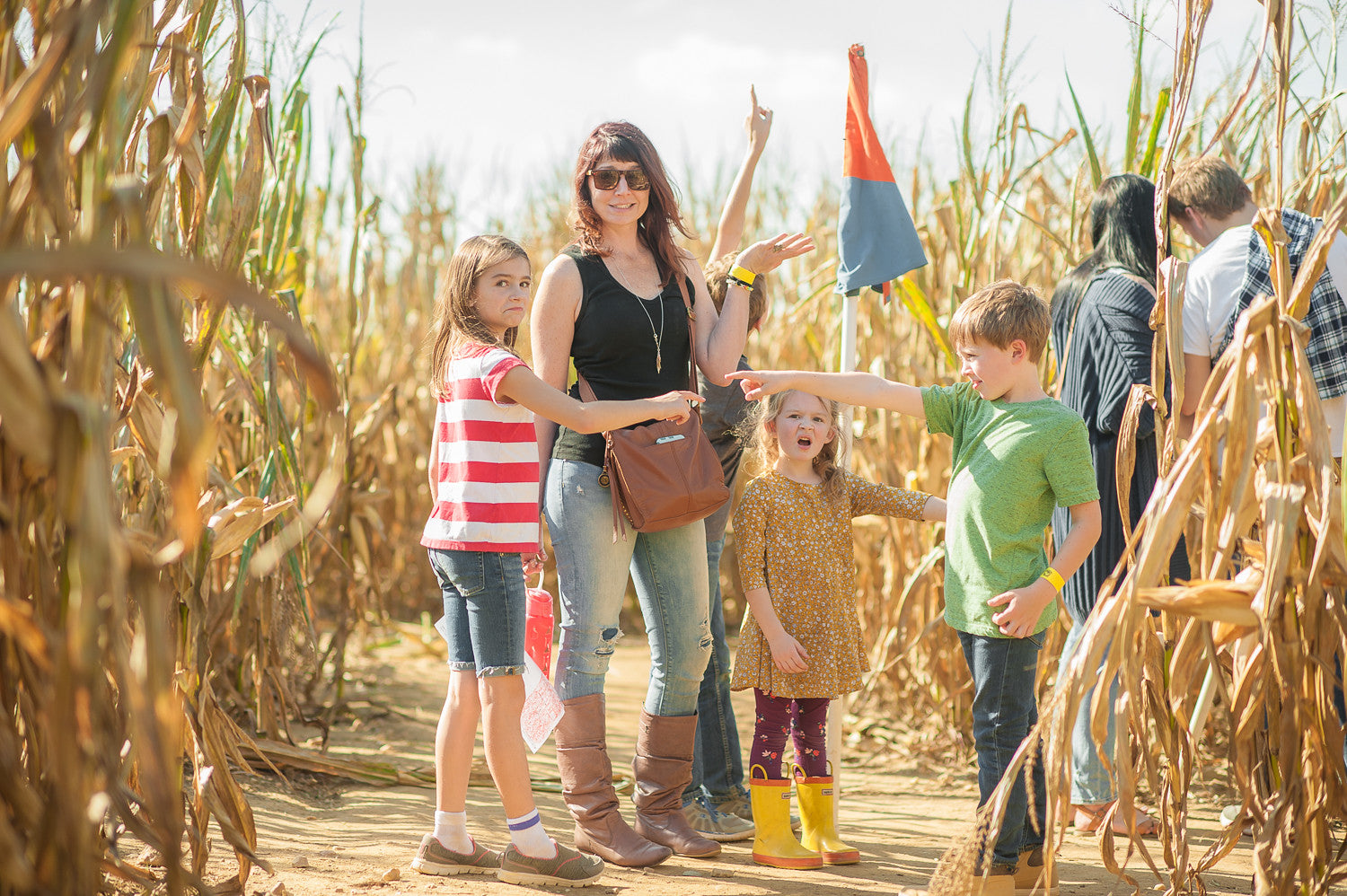 Maize Maze