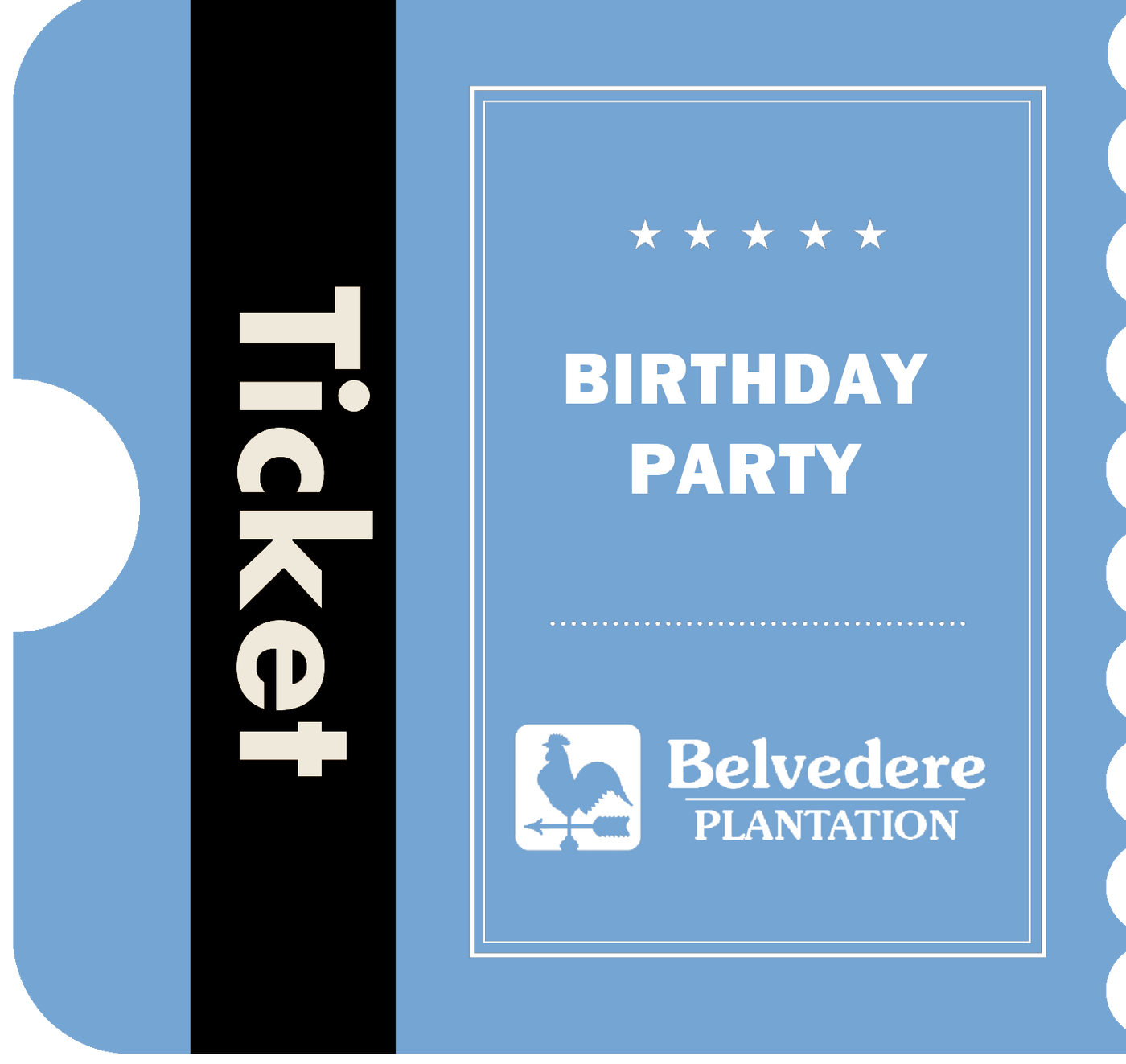 Deluxe Birthday Party Package