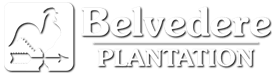 Belvedere Plantation